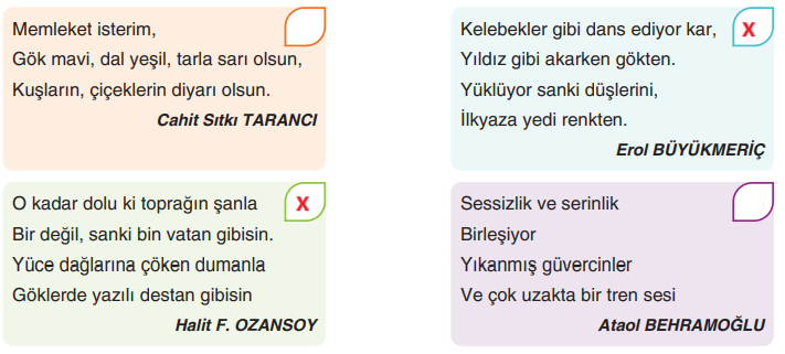 6. Sınıf Türkçe Ders Kitabı Sayfa 113 Cevapları Yıldırım Yayınları