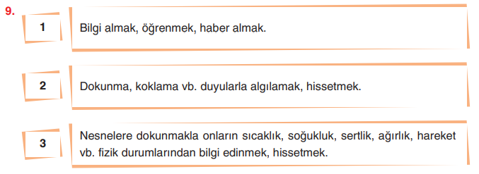 6. Sınıf Türkçe Ders Kitabı Sayfa 140 Cevapları Yıldırım Yayınları