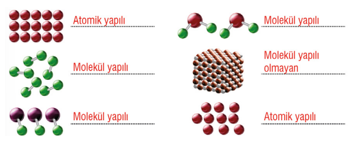 7. Sınıf Fen Bilimleri Ders Kitabı Sayfa 114 Cevapları MEB Yayınları