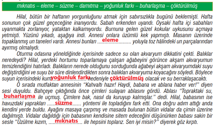 7. Sınıf Fen Bilimleri Ders Kitabı Sayfa 129 Cevapları MEB Yayınları2