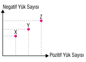 7. Sınıf Fen Bilimleri Ders Kitabı Sayfa 141 Cevapları MEB Yayınları