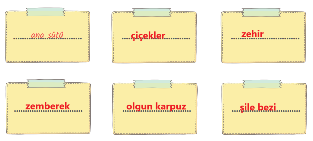 7. Sınıf Türkçe Ders Kitabı Sayfa 148 Cevapları MEB Yayınları