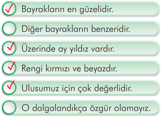 2. Sınıf Türkçe Ders Kitabı Sayfa 217 Cevapları İlke Yayıncılık