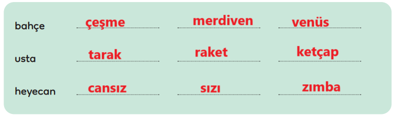 3. Sınıf Türkçe Ders Kitabı Sayfa 207 Cevapları MEB Yayınları