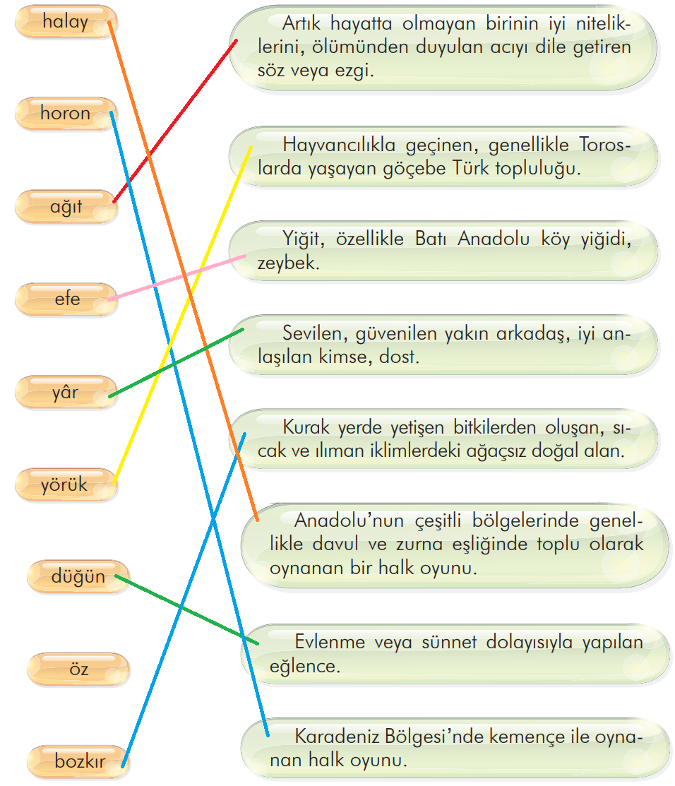 3. Sınıf Türkçe Ders Kitabı Sayfa 212 Cevapları İlke Yayıncılık