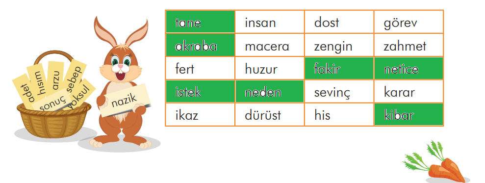 3. Sınıf Türkçe Ders Kitabı Sayfa 223 Cevapları İlke Yayıncılık