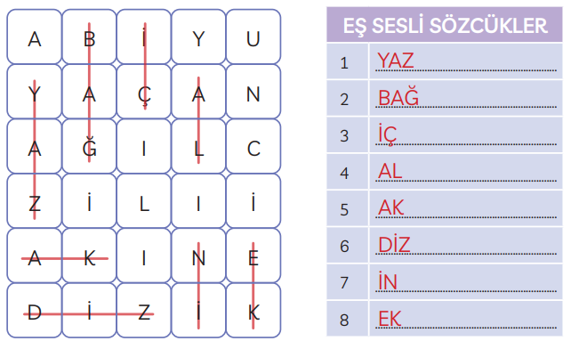 3. Sınıf Türkçe Ders Kitabı Sayfa 224 Cevapları MEB Yayınları