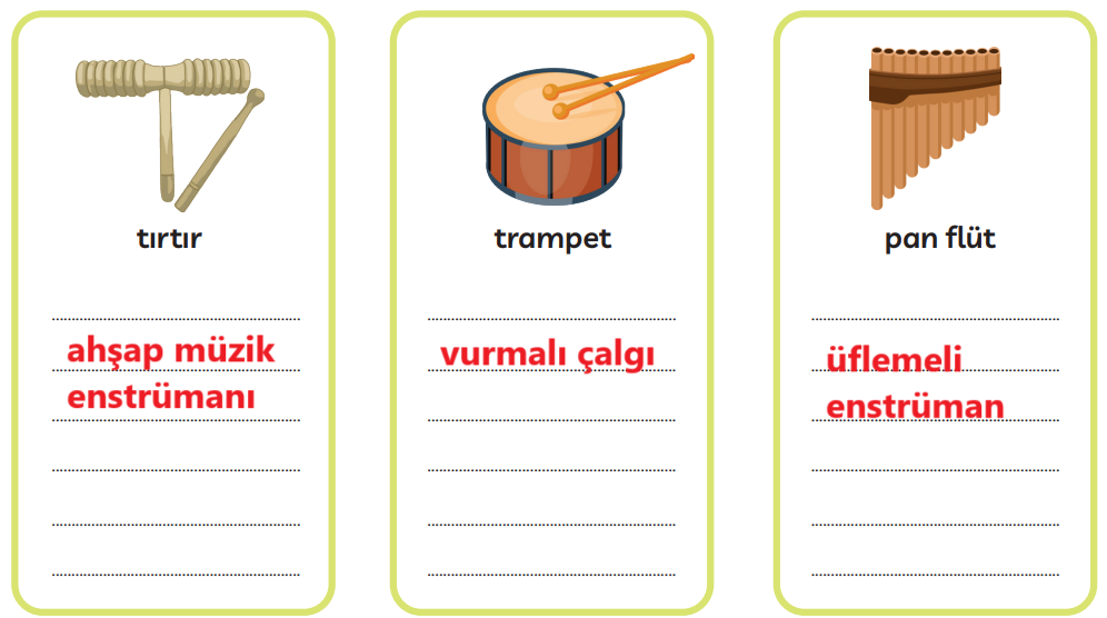 3. Sınıf Türkçe Ders Kitabı Sayfa 231 Cevapları MEB Yayınları