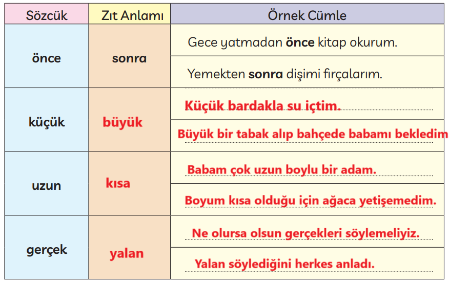 3. Sınıf Türkçe Ders Kitabı Sayfa 246 Cevapları MEB Yayınları