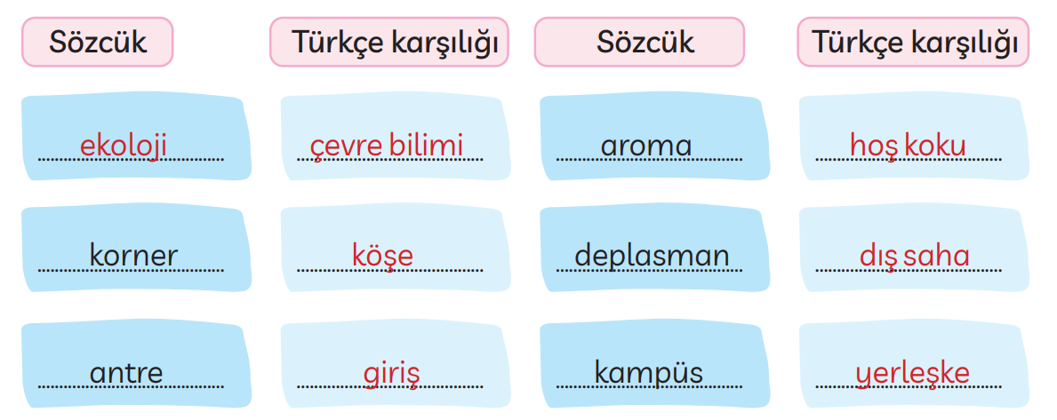 3. Sınıf Türkçe Ders Kitabı Sayfa 249 Cevapları MEB Yayınları