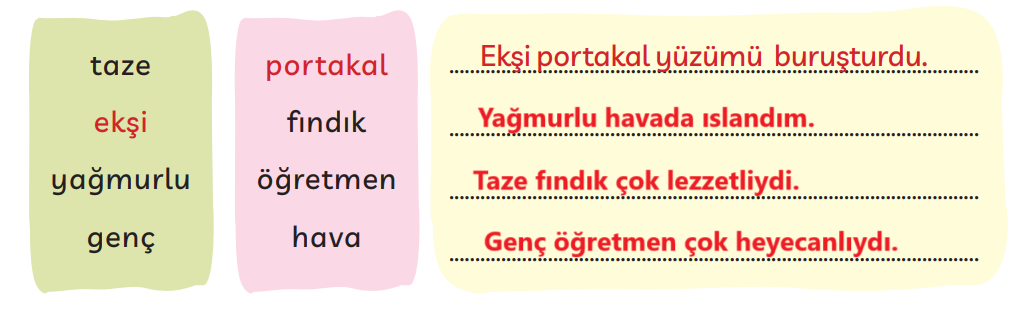 3. Sınıf Türkçe Ders Kitabı Sayfa 251 Cevapları MEB Yayınları