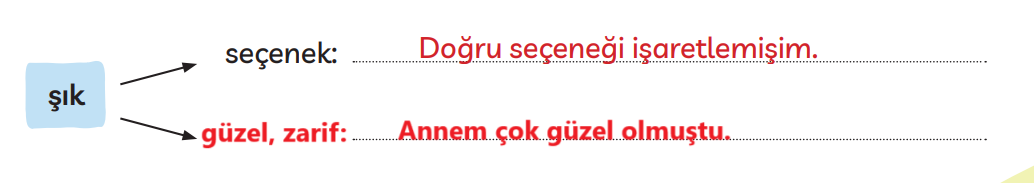 3. Sınıf Türkçe Ders Kitabı Sayfa 251 Cevapları MEB Yayınları