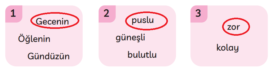 3. Sınıf Türkçe Ders Kitabı Sayfa 258 Cevapları MEB Yayınları