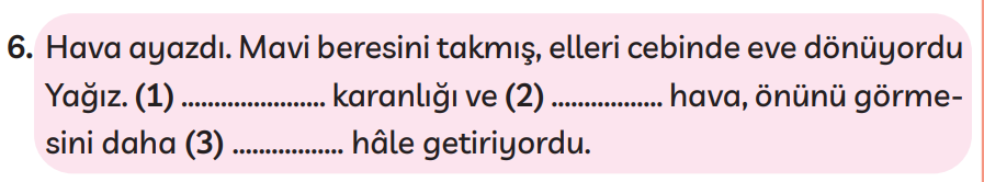 3. Sınıf Türkçe Ders Kitabı Sayfa 258 Cevapları MEB Yayınları