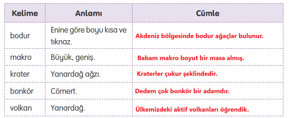 4. Sınıf Türkçe Ders Kitabı Sayfa 175 Cevapları TUNA Yayınları