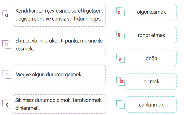 4. Sınıf Türkçe Ders Kitabı Sayfa 183 Cevapları TUNA Yayınları