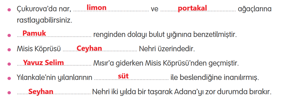 4. Sınıf Türkçe Ders Kitabı Sayfa 189 Cevapları TUNA Yayınları