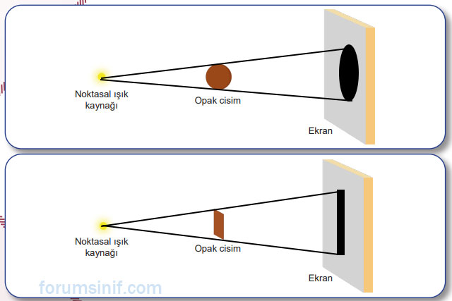 5. Sınıf Fen Bilimleri Ders Kitabı Sayfa 36 Cevapları MEB Yayınları