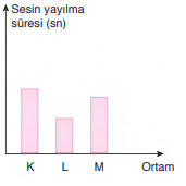 6. Sınıf Fen Bilimleri Ders Kitabı Sayfa 206 Cevapları Gün Yayınları