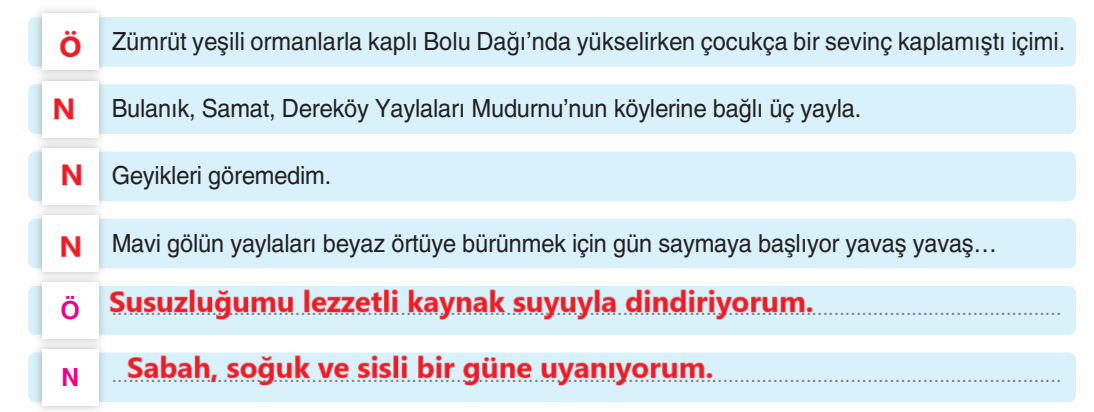 6. Sınıf Türkçe Ders Kitabı Sayfa 180 Cevapları Yıldırım Yayınları