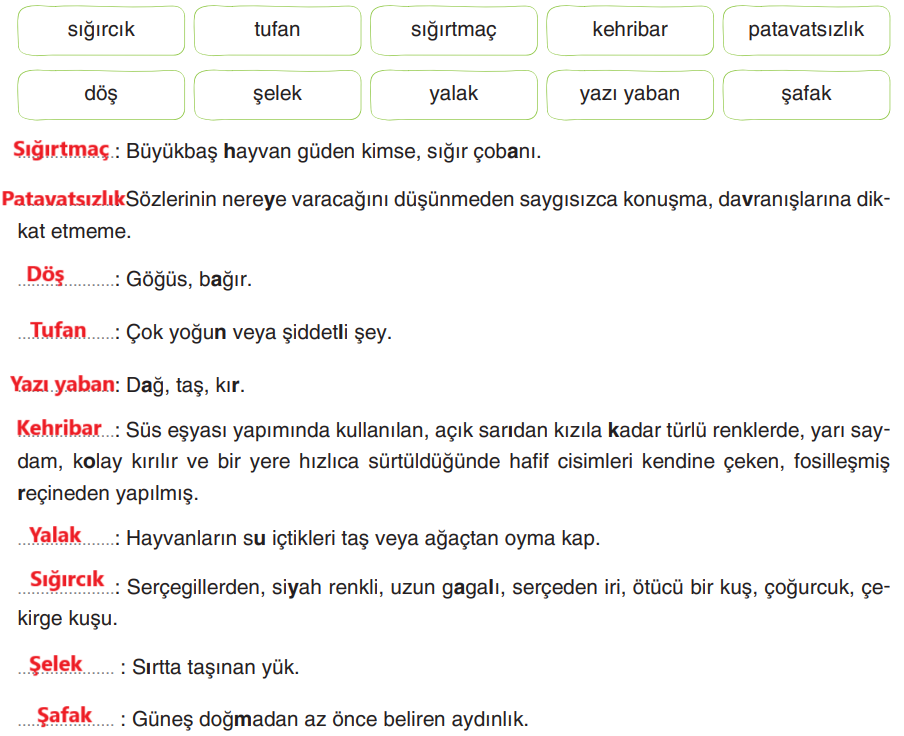 6. Sınıf Türkçe Ders Kitabı Sayfa 195 Cevapları Yıldırım Yayınları