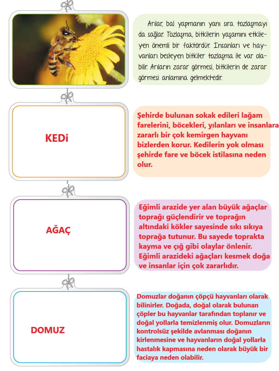 6. Sınıf Türkçe Ders Kitabı Sayfa 197 Cevapları Yıldırım Yayınları