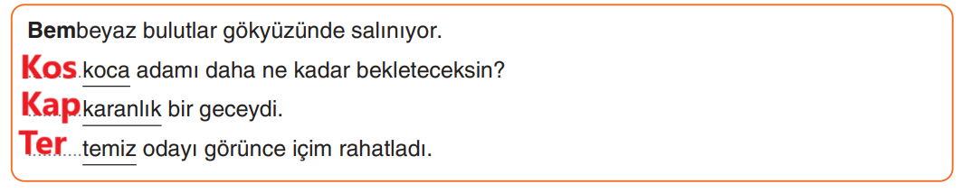 6. Sınıf Türkçe Ders Kitabı Sayfa 199 Cevapları Yıldırım Yayınları