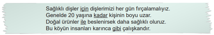 6. Sınıf Türkçe Ders Kitabı Sayfa 204 Cevapları MEB Yayınları