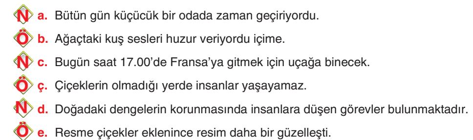 6. Sınıf Türkçe Ders Kitabı Sayfa 207 Cevapları Yıldırım Yayınları