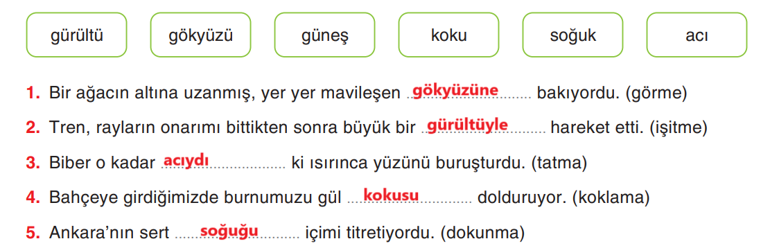 6. Sınıf Türkçe Ders Kitabı Sayfa 208 Cevapları Yıldırım Yayınları