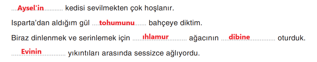 6. Sınıf Türkçe Ders Kitabı Sayfa 208 Cevapları Yıldırım Yayınları