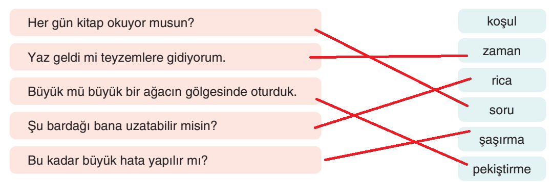 6. Sınıf Türkçe Ders Kitabı Sayfa 217 Cevapları Yıldırım Yayınları