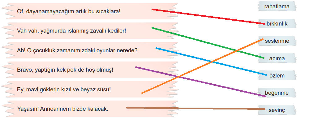 6. Sınıf Türkçe Ders Kitabı Sayfa 218 Cevapları MEB Yayınları1