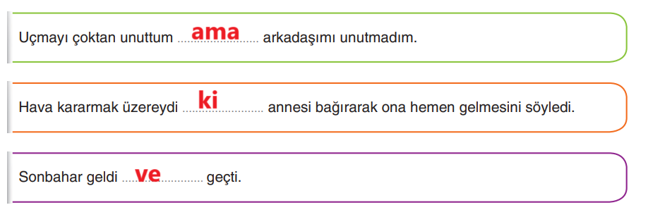 6. Sınıf Türkçe Ders Kitabı Sayfa 225 Cevapları Yıldırım Yayınları