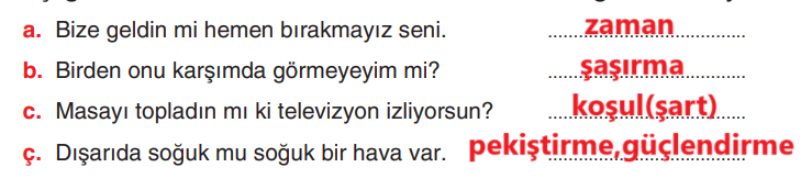 6. Sınıf Türkçe Ders Kitabı Sayfa 246 Cevapları Yıldırım Yayınları