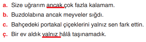 6. Sınıf Türkçe Ders Kitabı Sayfa 246 Cevapları Yıldırım Yayınları