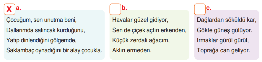 6. Sınıf Türkçe Ders Kitabı Sayfa 246 Cevapları Yıldırım Yayınları