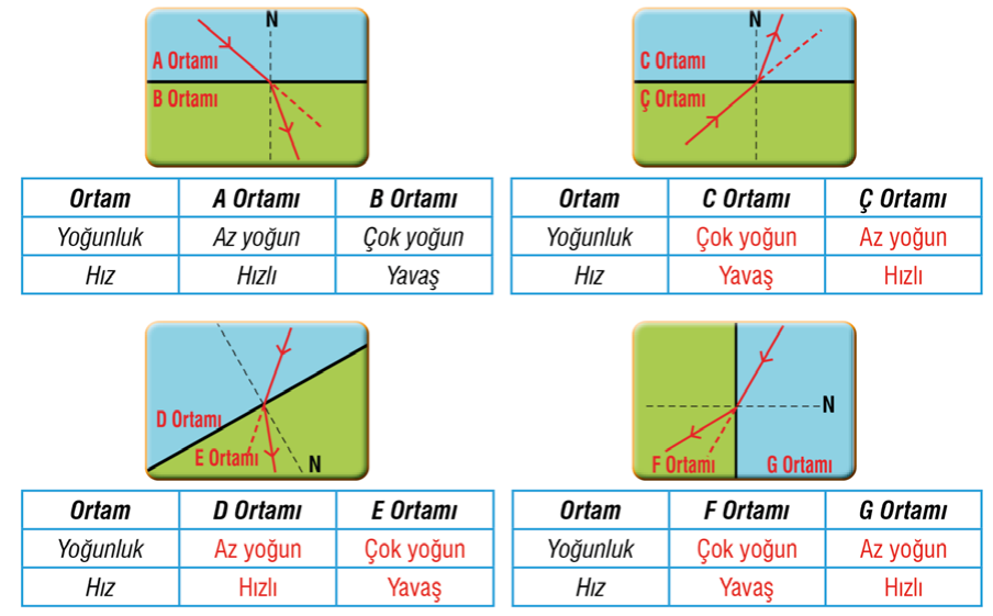 7. Sınıf Fen Bilimleri Ders Kitabı Sayfa 166 Cevapları MEB Yayınları