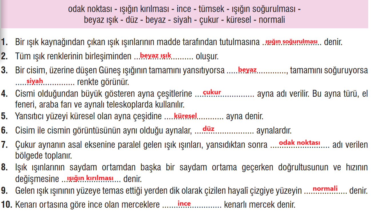 7. Sınıf Fen Bilimleri Ders Kitabı Sayfa 175 Cevapları MEB Yayınları