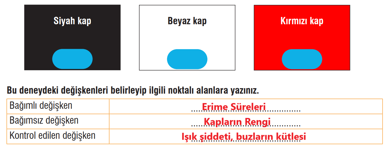 7. Sınıf Fen Bilimleri Ders Kitabı Sayfa 176 Cevapları MEB Yayınları