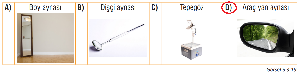 7. Sınıf Fen Bilimleri Ders Kitabı Sayfa 177 Cevapları MEB Yayınları