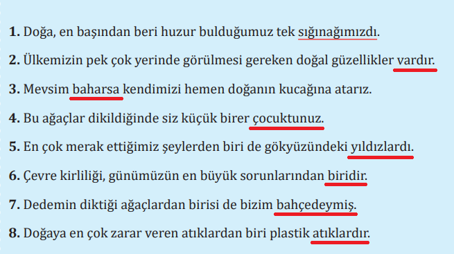 7. Sınıf Türkçe Ders Kitabı Sayfa 186 Cevapları MEB Yayınları