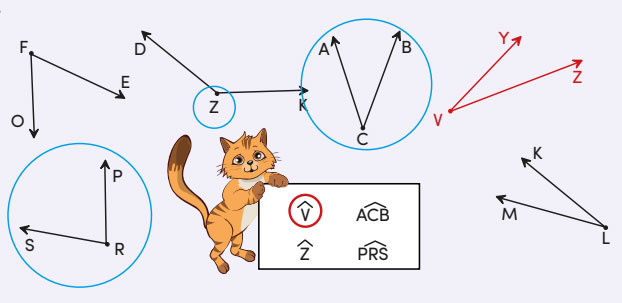 4. Sınıf Matematik Ders Kitabı Sayfa 199 Cevapları MEB Yayınları