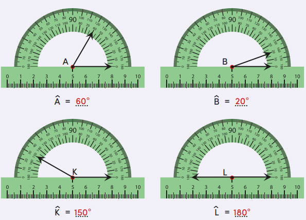 4. Sınıf Matematik Ders Kitabı Sayfa 202 Cevapları MEB Yayınları