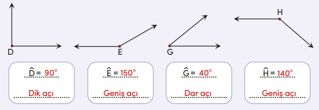 4. Sınıf Matematik Ders Kitabı Sayfa 205 Cevapları MEB Yayınları