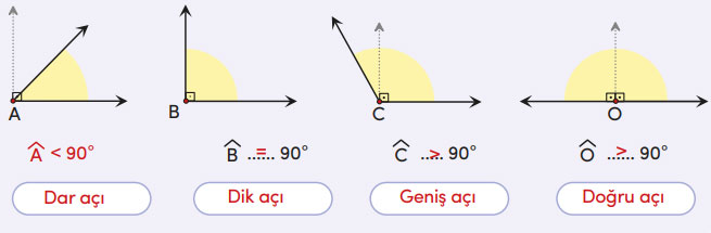 4. Sınıf Matematik Ders Kitabı Sayfa 205 Cevapları MEB Yayınları