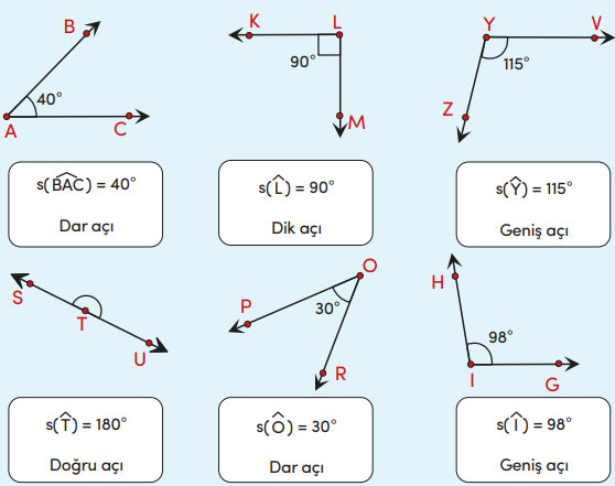 4. Sınıf Matematik Ders Kitabı Sayfa 228 Cevapları MEB Yayınları