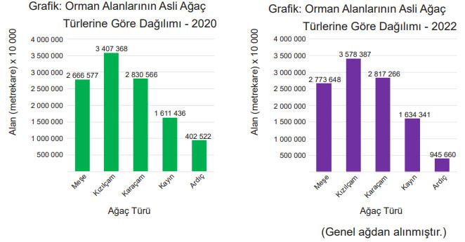 5. Sınıf Matematik Ders Kitabı Sayfa 110 Cevapları MEB Yayınları