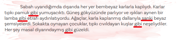 5. Sınıf Türkçe Ders Kitabı Sayfa 71 Cevapları MEB Yayınları