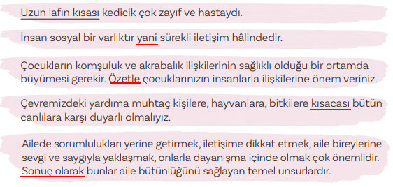 5. Sınıf Türkçe Ders Kitabı Sayfa 85 Cevapları MEB Yayınları